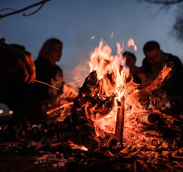 Family roasting marshmallows around a campfire at sunset